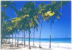 Nordeste - Praia - Macei - Alagoas