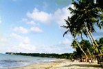 Nordeste - Praia - Joo Pessoa - Paraba